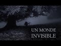 Un monde invisible