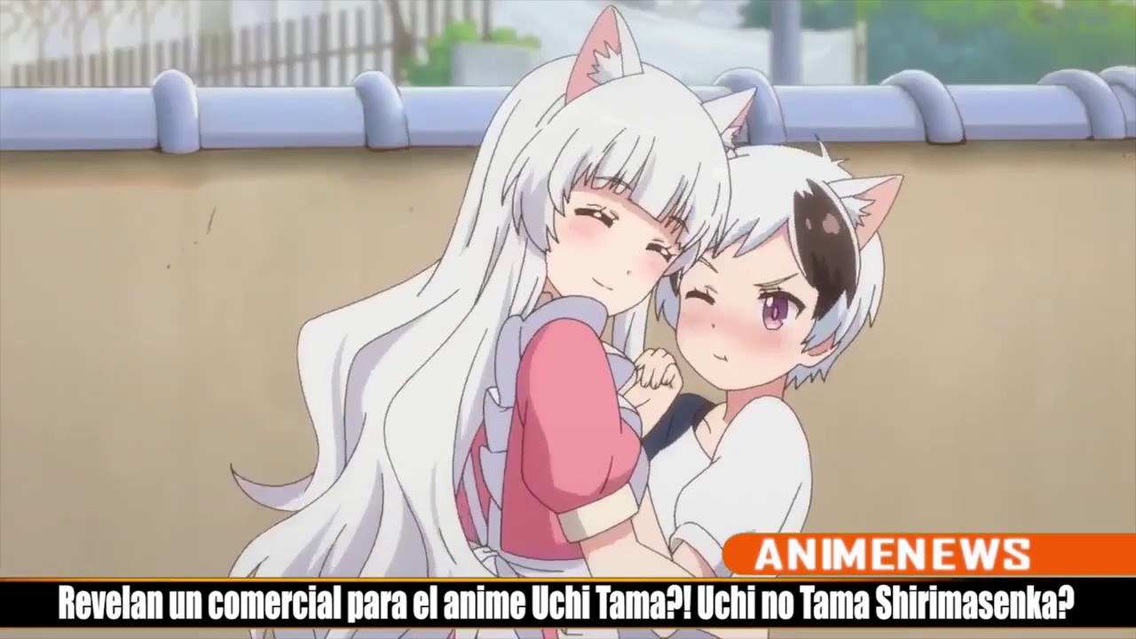 Get Trailer Anime Uchi Tama Uchi No Tama Shirimasenka Youtube Desktop Wallpaper Free Get Wallpaper Trailer Anime Uchi Tama Uchi No Tama Shirimasenka Youtube For iPhone Free