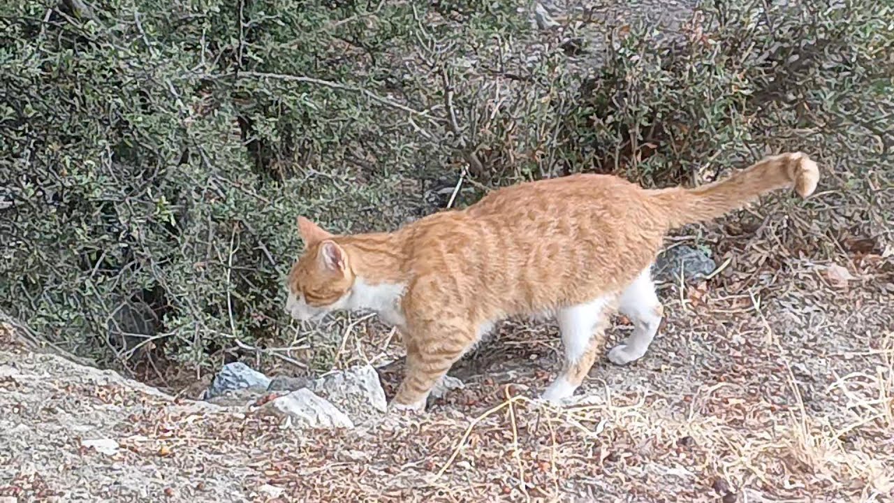 The otherside of Harry 🤔🤣