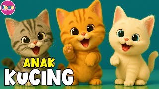 Kompilasi Lagu Anak - ANAK KUCING MEONG MEONG, Naik Becak, Dan Lagu Anak Viral dan Populer Lainnya