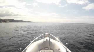 FOR SALE Zodiac Rib