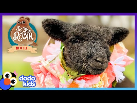 Fluffy Sheep Is Obsessed With Becoming A Dog | Best Animal Friends | Dodo Kids