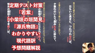 定期テスト対策「若紫」「小柴垣の垣間見」『源氏物語』わかりやすい現代語訳と予想問題解説