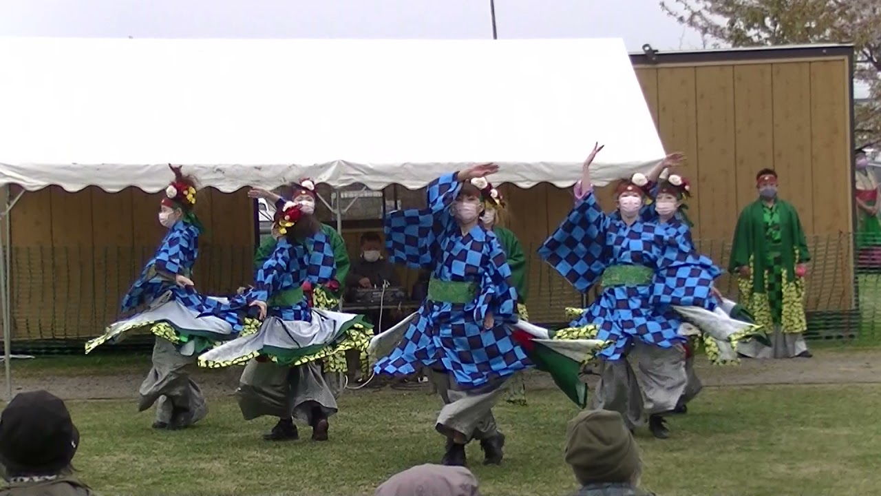 Aomori花嵐桜組 黒石さくらまつり Youtube Aomori花嵐桜組 黒石さくらまつり Youtube