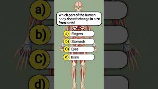 Test Your Human Body Knowledge