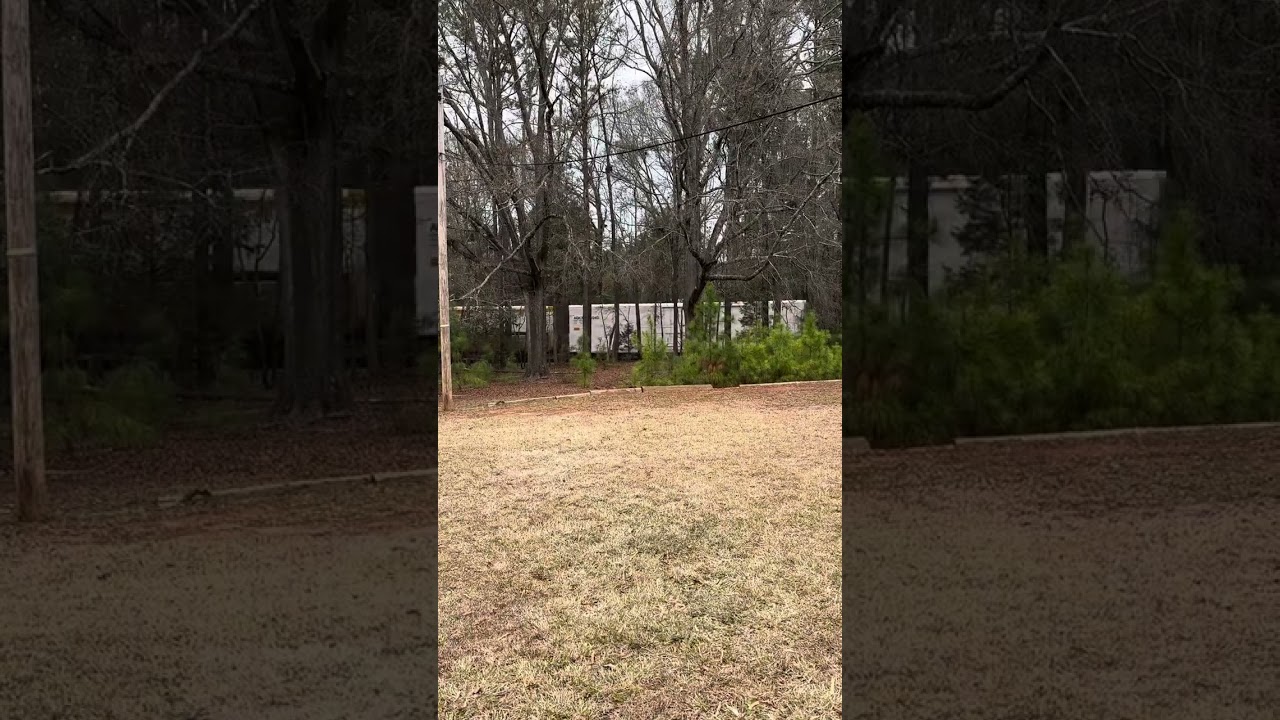 Just a boy who loves trains