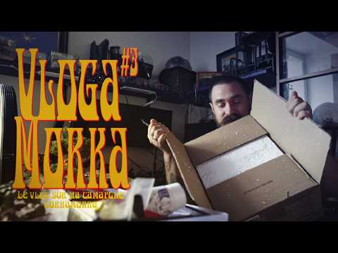 Vlogamorka #3. My Gorkamorka campaign vlog!