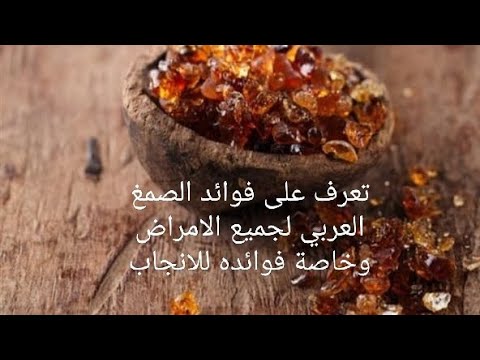 تعرف على فوائد الصمغ العربي لجميع الامراض وخاصة فوائده للانجاب