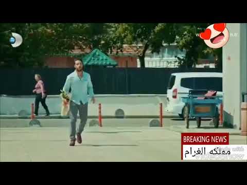 حبيبته باسته اتخربط مقطع رومانسيات العشق 