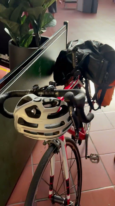 Trek Domane before they hit the wall. IYKYK