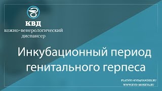 831  Инкубационный период генитального герпеса