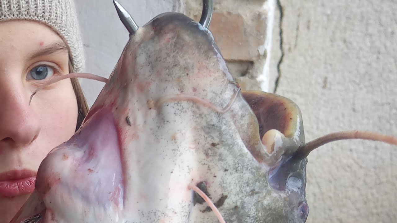 extrém... nagy halat  0.03-as fonottal is meg lehet  fogni...- horgászat Kirillel 03.01