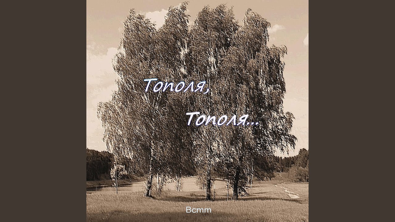 Тополя тополя. Тополя песня. Populus игра.