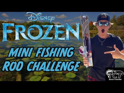 MINI Fishing Rod Challenge! (Disney Edition) 