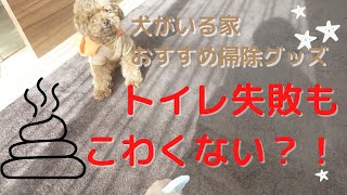 【絨毯 掃除】犬のトイレ失敗も怖くない！？シミ取り掃除おすすめアイテム紹介！【犬掃除】