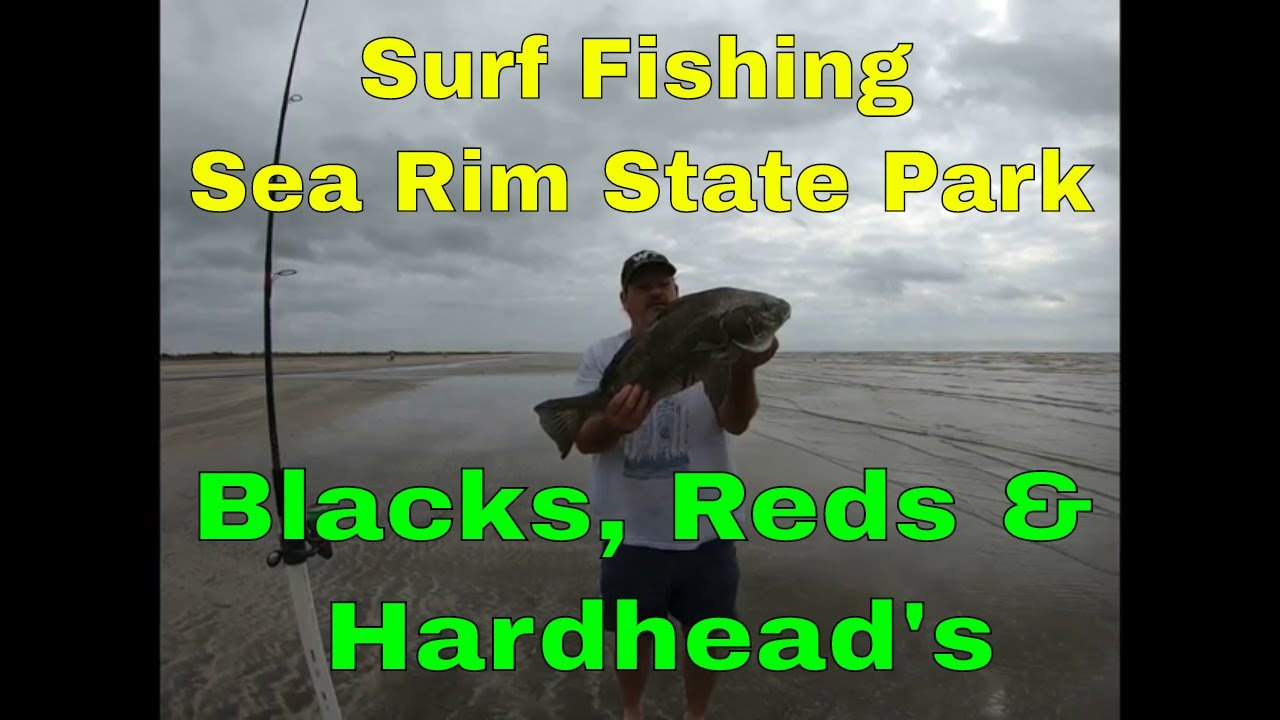 Surf Fishing with Bait Launcher (Sea Rim State Park) YouTube
