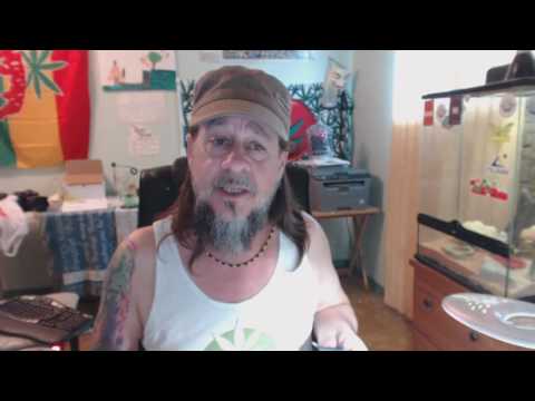 Mendi Cbd Gummies Day Tincture
