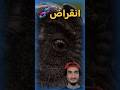 ❌۹۹.۹٪ منقرض شده‌اند!❌