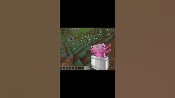 minecraft action and stuff mod #shorts #minecraft #more