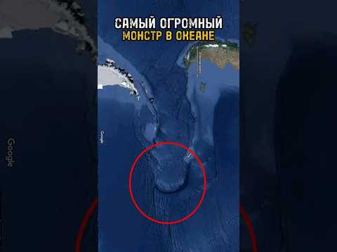 Учёные обнаружили самое большое существо в океане