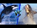 Great White Shark VS Killer Whale - Who Wins? ⚔️🔥