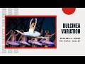 Dulcinea Variation - Marianela Nunez