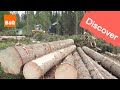 The journey of good wood The journey of good wood