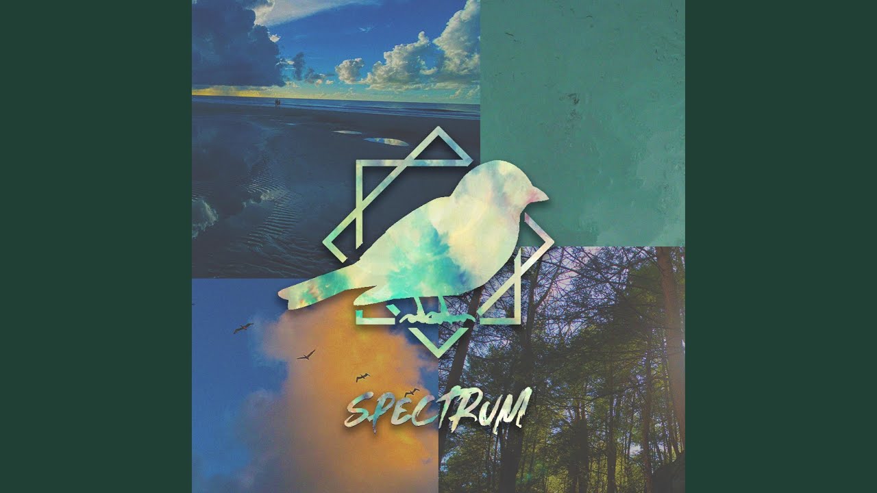 YouTubeでForwardを視聴 YouTubeでForwardを視聴