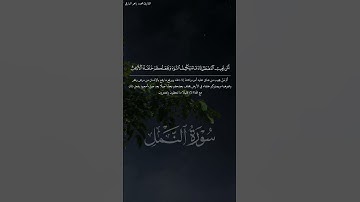 أمن يجيب المضطر إذا دعاه #الدعاء #تلاوة #الشيخ #محمد_البارقي #ستوريات #دينية #islam