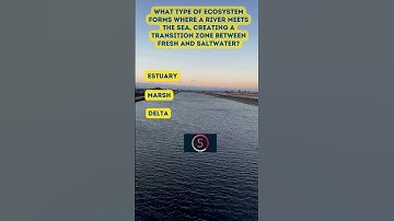 Watershed Management