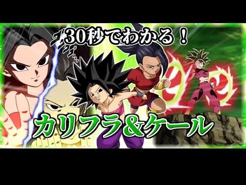 【ドッカンバトル】30秒で分かるカリフラ＆ケール【比較】