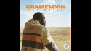 03  Chameleon  feat  Kabza De Small & DJ Maphorisa