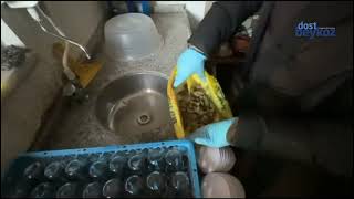 Beykoz’da helikopter ve köpek destekli narkotik operasyonu… 4 kişi tutuklandı