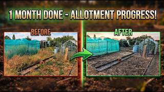 Dads Easy Allotment - 1 Months Progress