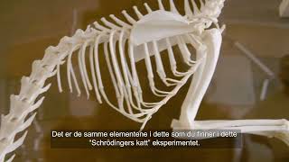 Hgsd Kommune   Haraldsvang Skole   Njål Kunstverk 15   Tekstet