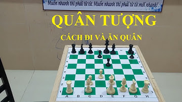 Bài 11 - Cách đi và ăn quân của quân Tượng - Tự học cờ vua