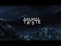 Capture de la vidéo Animal Triste - Wild At Heart (Clip Officiel)