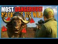 Most Dangerous Animals in theHunter: Call of the Wild 🦁