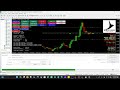 Black Bird EA MT4 Review – High-Risk Scalping System & Trade Management Analysis