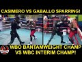 John Riel Casimero vs Reymart Gaballo SPARRING | Filipino Bantamweight Champions!