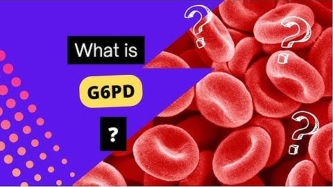 what is G6PD?