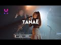 Tana  swipe up festival live