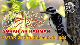 SURAH AR RAHMAN | PUTAR DENGAR AMALAKAN | KAJIAN ISLAM OFFICIAL | 88