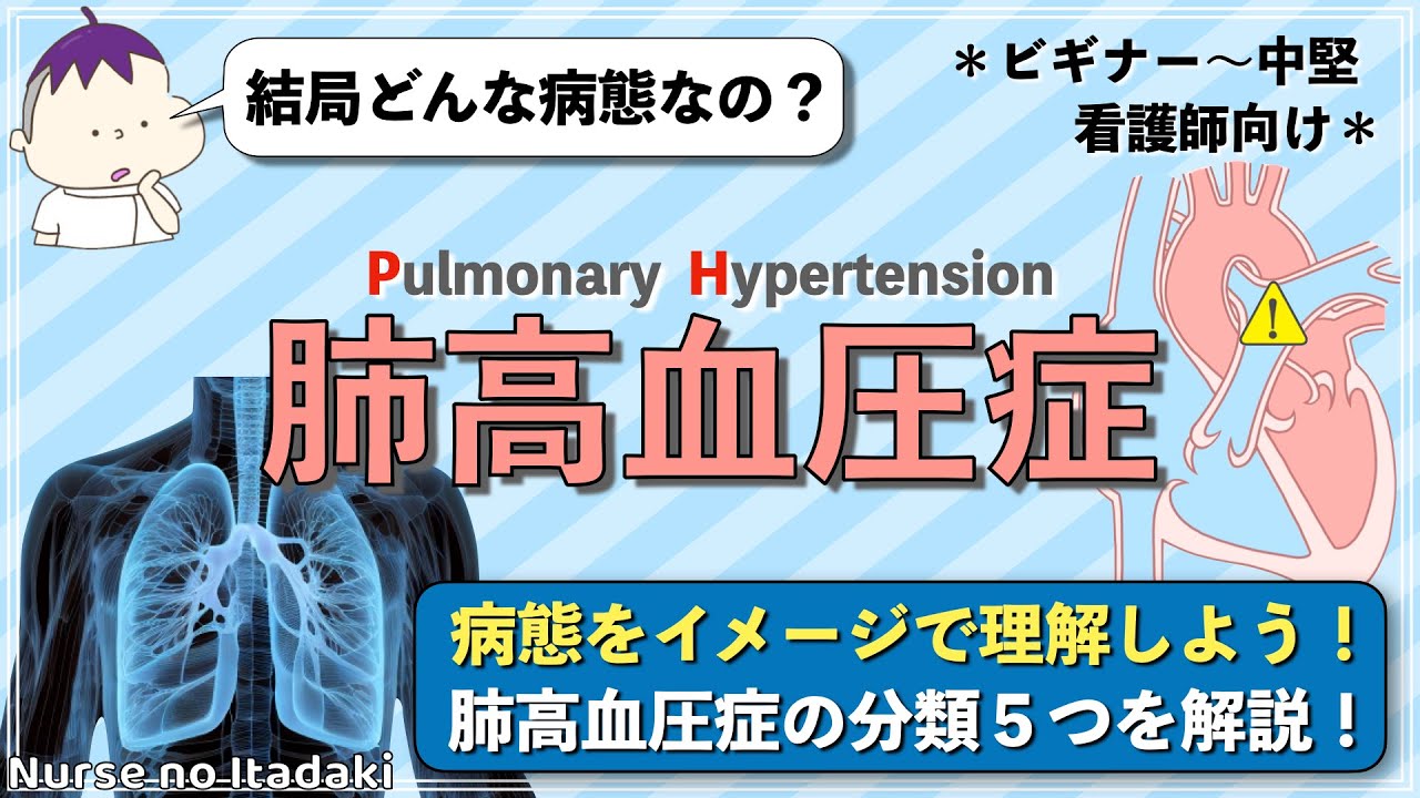 【肺高血圧症とは？】病態をイメージで理解しよう！