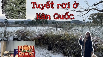 Tuyết rơi ngày đầu tiên ở Hàn Quốc nơi mình sống như thế nào? - Cuộc sống Hàn Quốc
