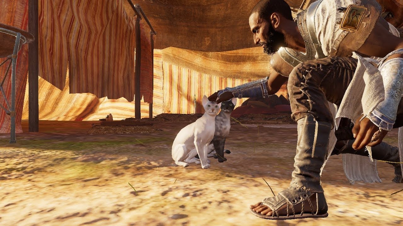 Cats following Bayek in Assassin's Creed Origins. YouTube