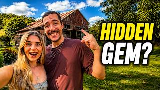 The Wildest Bird Experience We've Ever Had in Australia!?