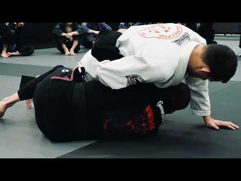 Half Guard Basics for Beginners