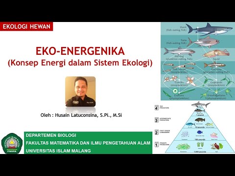 Video: Apa satuan energi yang digunakan dalam biologi?