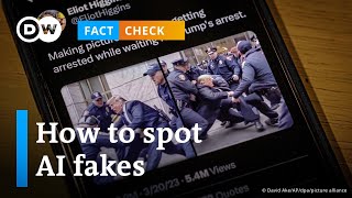 Fact Check: How to spot AI images? screenshot 3